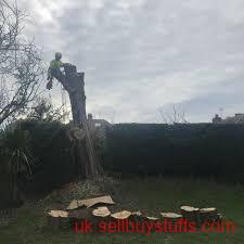 second hand/new: Reliable Tree Services in Weymouth