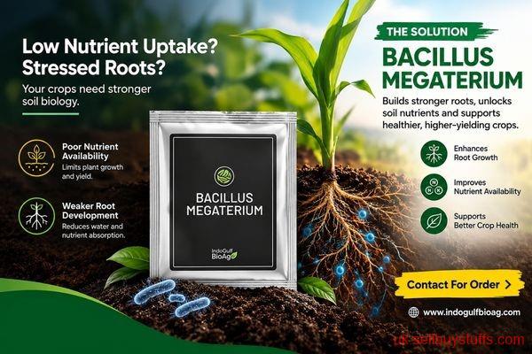 second hand/new: Want Better Nutrient Management in Soil? Choose Bacillus megaterium – Request a Quote
