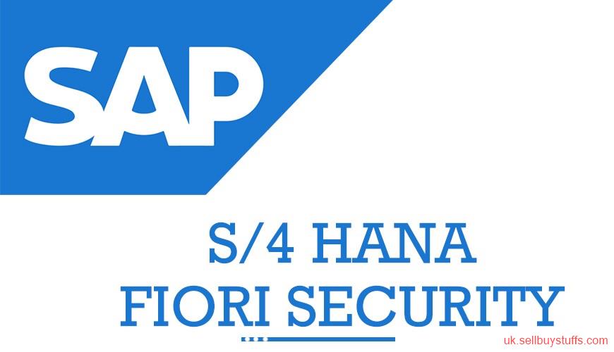 second hand/new: SAP S4 Hana Security Online Training from India