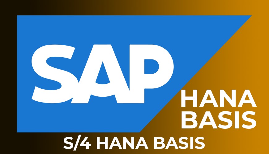 second hand/new: Best SAP S4 Hana BASIS Training from Hyderabad