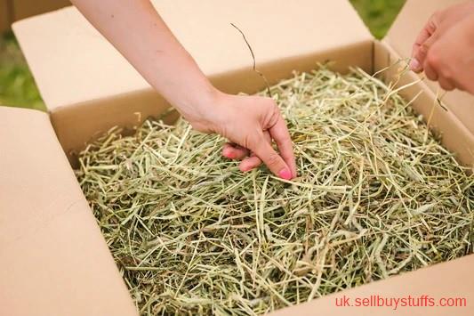 second hand/new: Hay Boxes in the UK with the Fresh Hay Grass
