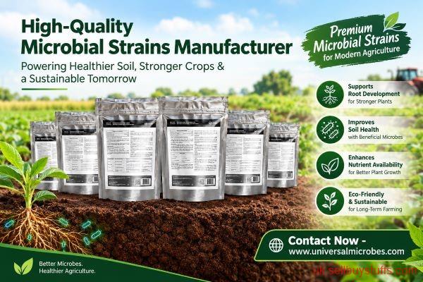 second hand/new: Planning to Source Agricultural Microbes? Contact a Microbial Strains Manufacturer Today