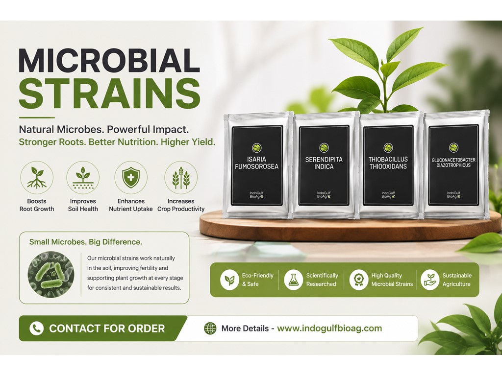 second hand/new: Declining Crop Performance Across Fields? Get Microbial Strains – Contact Now